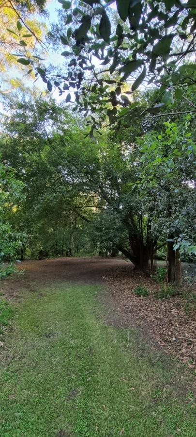 Bird Songs Getaway Accommodation Cabbage Tree Creek Extérieur photo