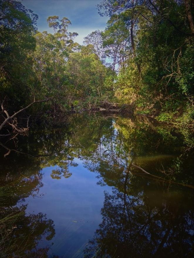 Bird Songs Getaway Accommodation Cabbage Tree Creek Extérieur photo