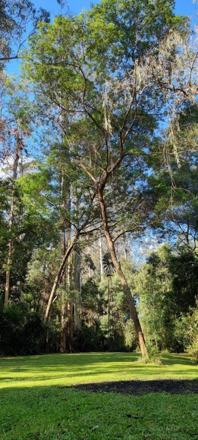 Bird Songs Getaway Accommodation Cabbage Tree Creek Extérieur photo